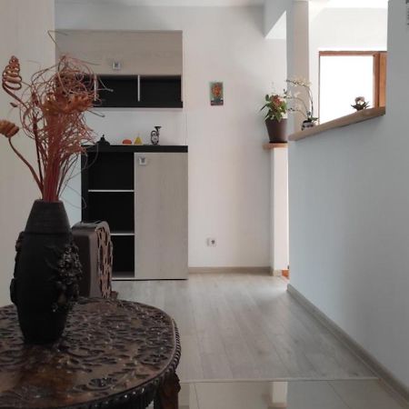 סיביו Apartament Trei Stejari מראה חיצוני תמונה