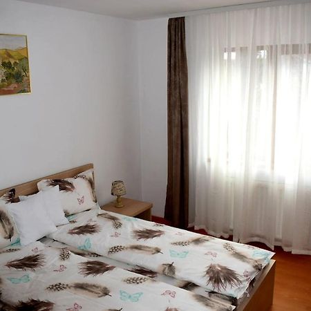 סיביו Apartament Trei Stejari מראה חיצוני תמונה