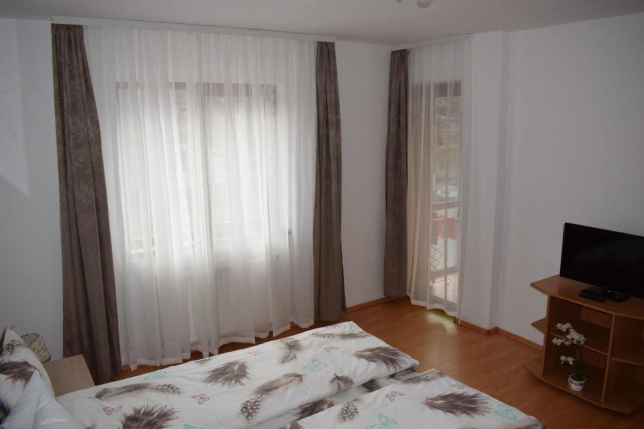 סיביו Apartament Trei Stejari מראה חיצוני תמונה